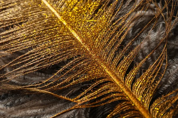 Texture Golden Feather Closeup — Stock Photo, Image