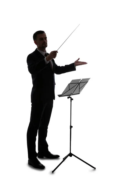 白い背景の若いオーケストラの指揮者のシルエット — ストック写真