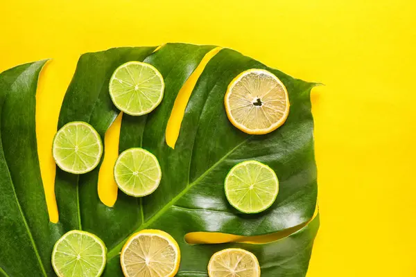 Citrus Fruit Slices Tropical Leaf Color Background — Stock Photo, Image