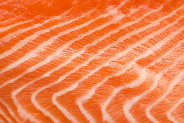 Fillet Fresh Salmon Closeup — Stock Photo, Image