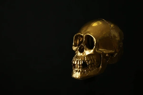 Golden human skull on dark background