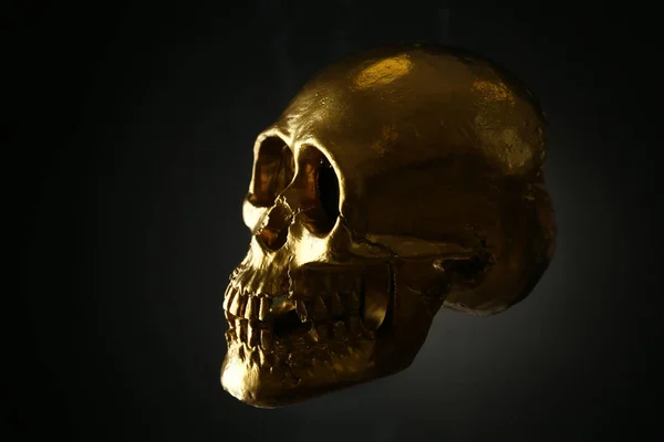 Golden Human Skull Dark Background — Stockfoto