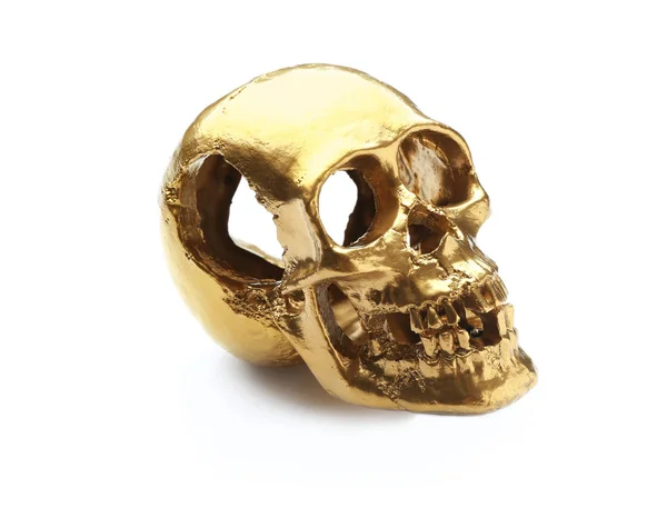 Golden Human Skull White Background — Stockfoto