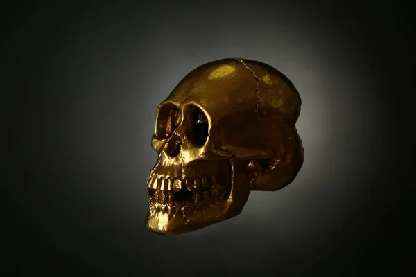 Cráneo Humano Dorado Sobre Fondo Oscuro — Foto de Stock