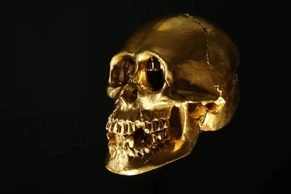 어두운 배경에 인간의 두개골 — 스톡 사진