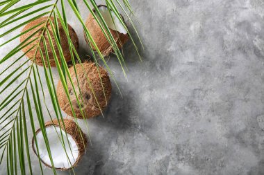 Olgunlaşmış hindistancevizi ve palmiye yaprak gri arka plan üzerinde