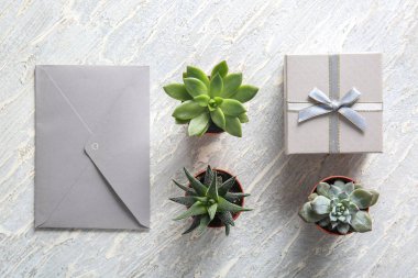 Tencere hediye kutusu ve zarfın üzerinde masa lambası yeşil bitkiler