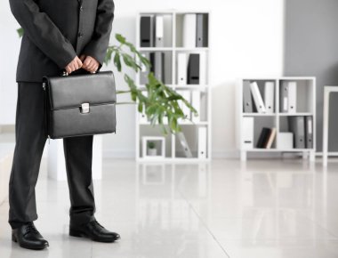 Handsome male lawyer with briefcase in office