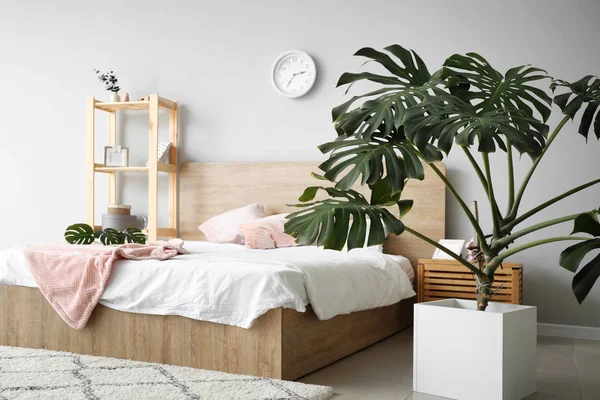 Grüne Tropische Pflanze Schlafzimmer — Stockfoto