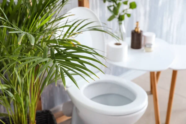 Green Palm Modern Interior Restroom — Stock Photo, Image