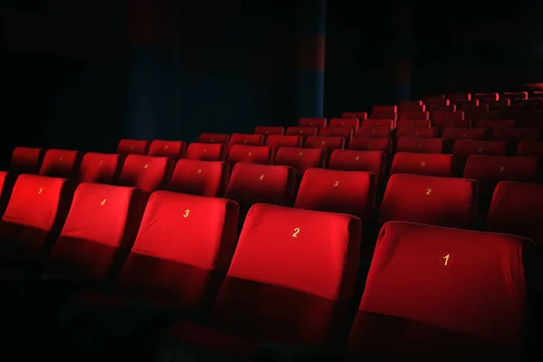 Empty cinema with comfortable chairs