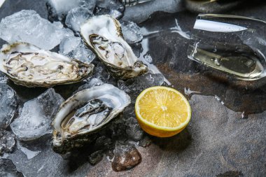 Gri arka plan üzerinde buz, limon ve beyaz şarap ile lezzetli çiğ istiridye