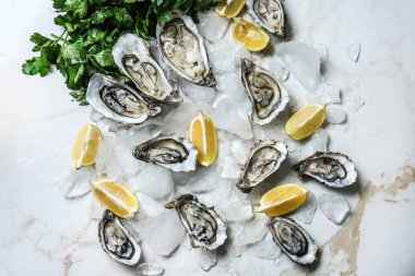 Buz ve limon üzerinde masa lambası ile lezzetli çiğ istiridye