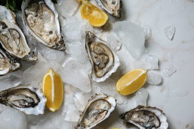 Buz ve limon üzerinde masa lambası ile lezzetli çiğ istiridye