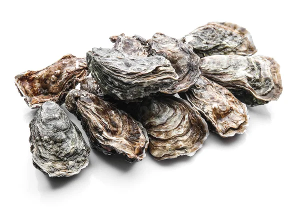 Fresh Raw Oysters White Background — Stock Photo, Image