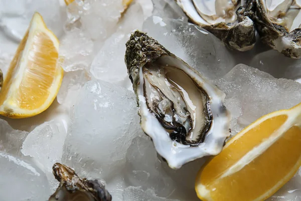 Tasty Raw Oysters Ice Lemon Table — Stock Photo, Image