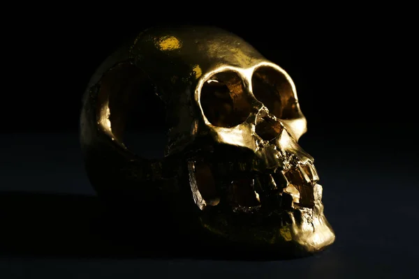 Cráneo Humano Dorado Sobre Fondo Oscuro —  Fotos de Stock