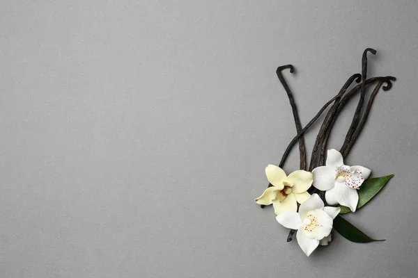 Vanilla Pods Flowers Grey Background — Stock Photo, Image
