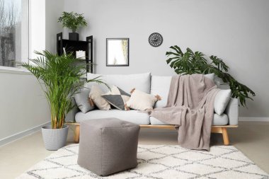 Odanın iç yeşil tropikal bitki