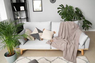 Odanın iç yeşil tropikal bitki