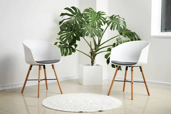 Grüne Tropische Pflanze Mit Weißen Stühlen Hellen Raum — Stockfoto