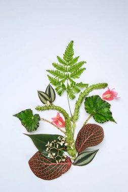 Taze tropikal yaprak ve çiçek renk arka plan üzerinde ile kompozisyon