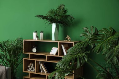 Odanın iç yeşil tropikal bitki