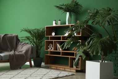 Odanın iç yeşil tropikal bitki