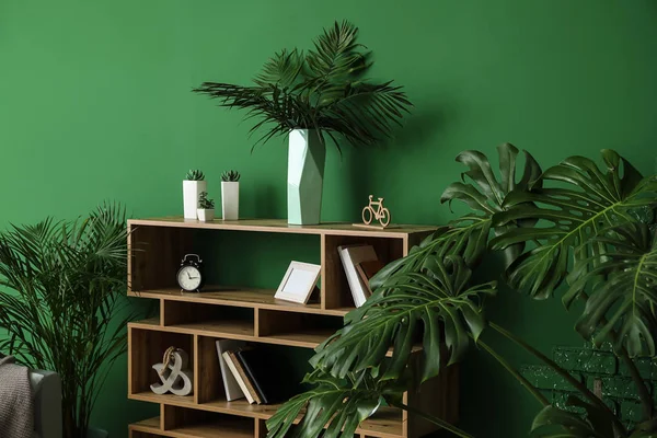 Odanın iç yeşil tropikal bitki