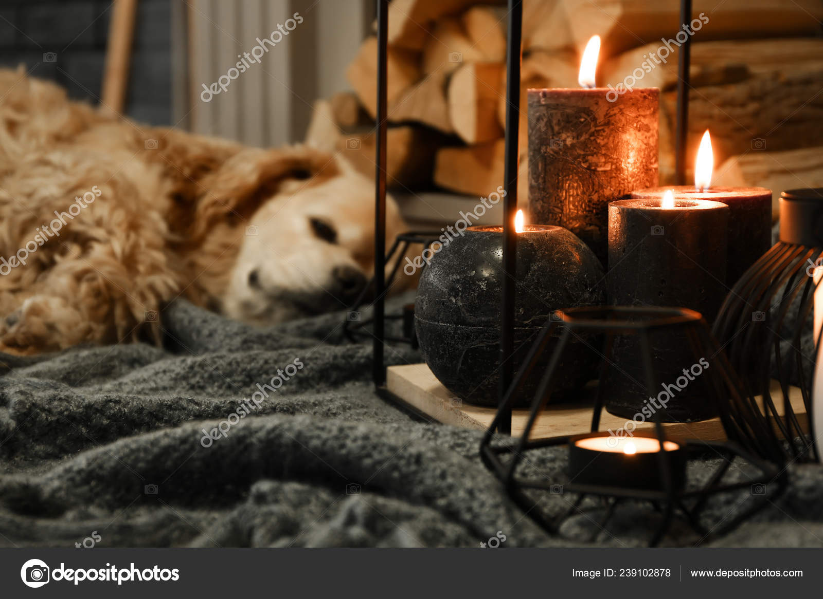 Are Candles Safe To Burn Around Dogs