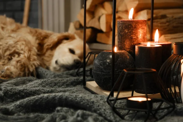 Schöne Brennende Kerzen Mit Schlafendem Hund Kamin — Stockfoto