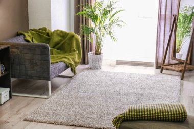 Rahat kanepesi olan modern bir oda.