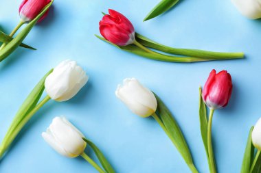 renkli arka plan üzerinde güzel laleler