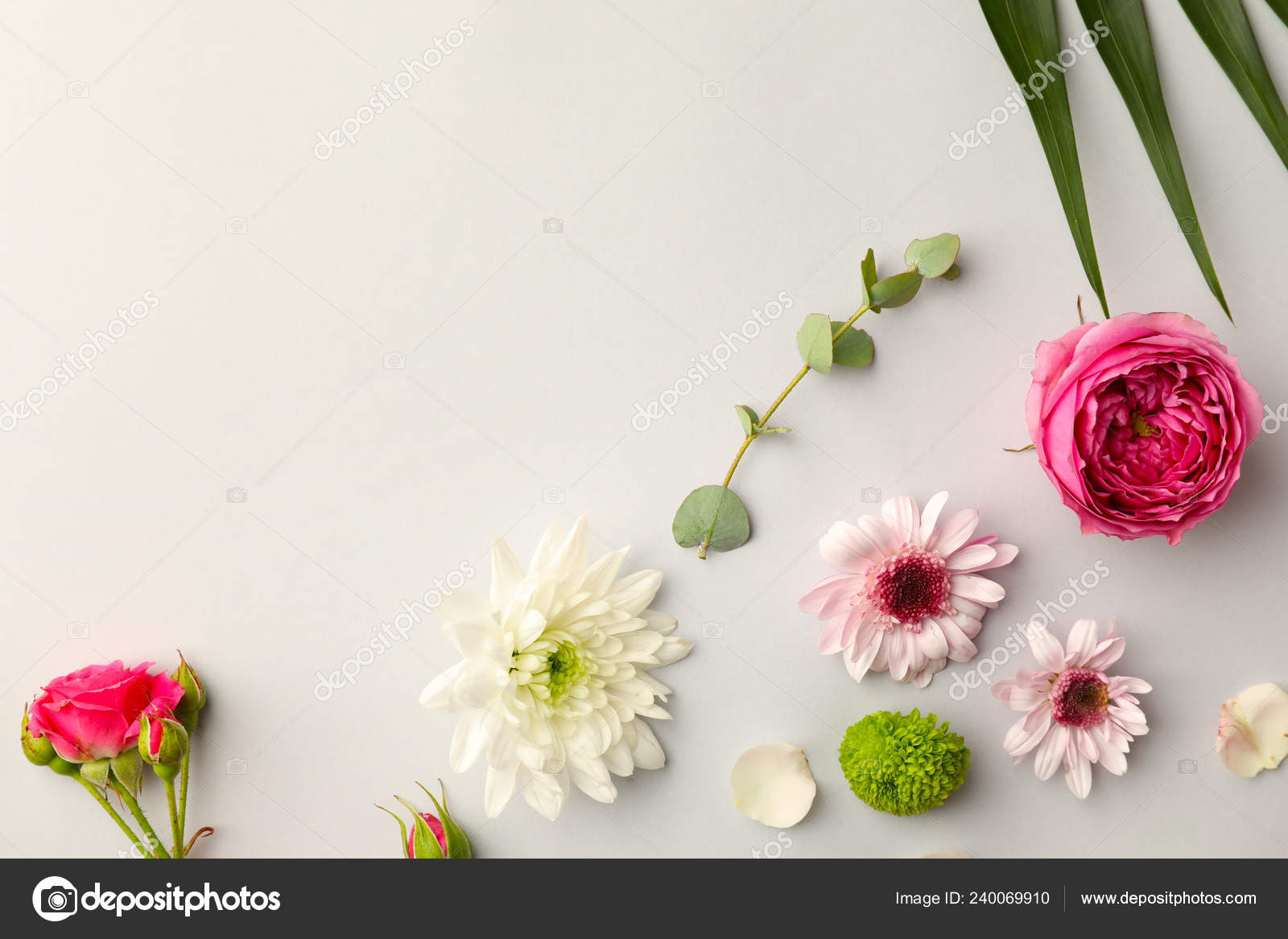 Beautiful Flowers Light Background Stock Photo by ©serezniy 240069910