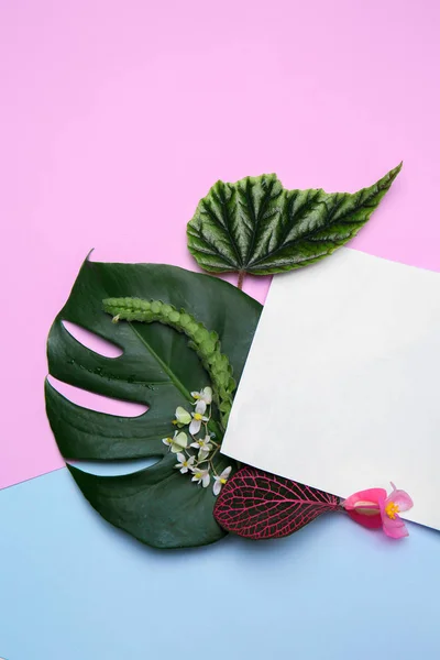 空白のカード 色の背景上新鮮な熱帯の葉のコンポジション — ストック写真