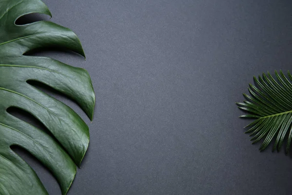 Färska Tropiska Blad Grå Bakgrund — Stockfoto