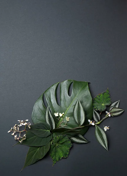 灰色の背景の葉の新鮮なトロピカル組成 — ストック写真