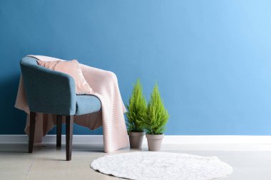 Rahat koltuk ve houseplants renk duvarının yakınında