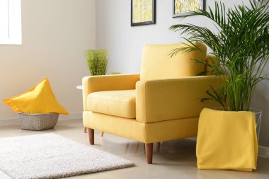 Rahat koltuğu olan modern bir oda.