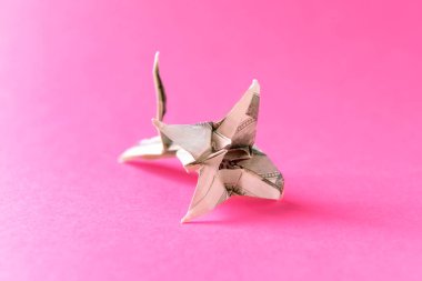 Origami çiçek doları banknot renk arka plan üzerinde yapılmış