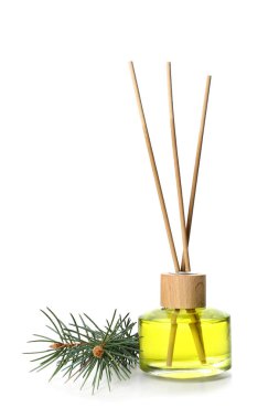 Reed difüzör ve beyaz arka plan üzerinde iğne yapraklı dal