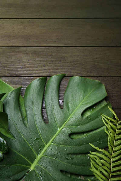 Feuilles Tropicales Fraîches Sur Fond Bois — Photo