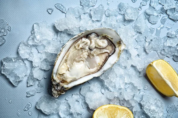 Färska Råa Ostron Med Och Citron Grå Bakgrund — Stockfoto