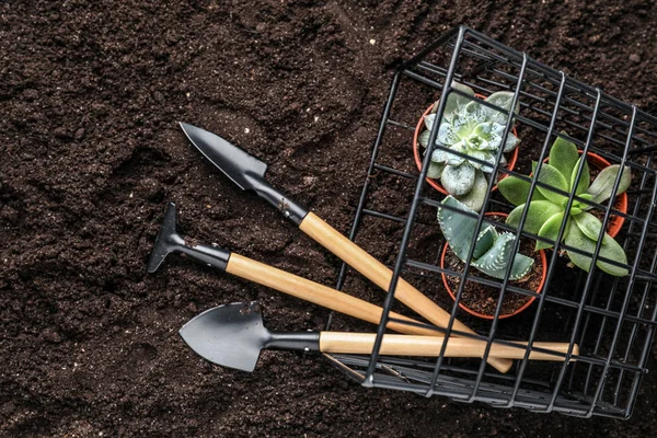 Set Gardening Tools Plants Pots Soil — Stock Photo, Image