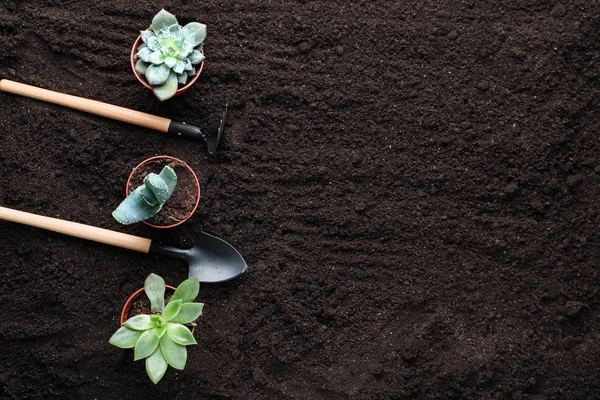 Gartengeräte Mit Pflanzen Töpfen Auf Dem Boden — Stockfoto