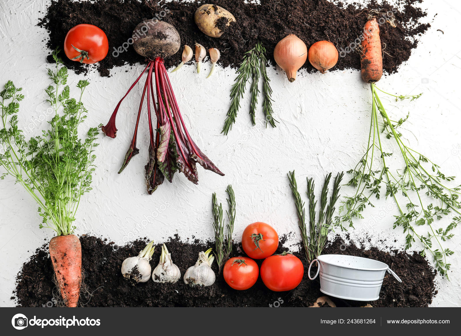 Different Vegetables Soil White Background Stock Photo by ©serezniy ...