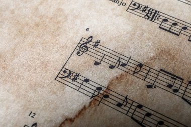 Eski müzik levha, portre