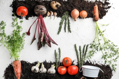 Farklı sebze ve beyaz zemin üzerine toprak