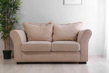 Rahat kanepesi olan modern bir oda.