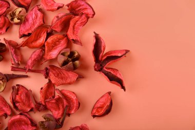 Mercan arka plan üzerinde kurutulmuş çiçek dekorasyonu